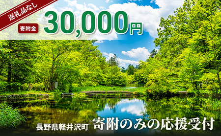 【返礼品なし】長野県軽井沢町 寄附のみの応援受付 30,000円コース（返礼品なし 寄附のみ 30,000円）