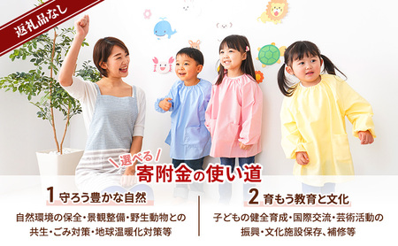 【返礼品なし】長野県軽井沢町 寄附のみの応援受付 30,000円コース（返礼品なし 寄附のみ 30,000円）