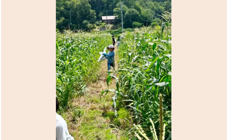 【電子クーポン券】 キラここキッズ軽井沢 託児利用券 3,000円 有効期限:発行から1年間以内 託児 保育 育児 軽井沢 割引券 クーポン 利用券 電子クーポン 電子