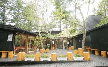 トラットリア プリモお食事引換券【ピッツァ マルゲリータ】 お食事券 チケット ピザ