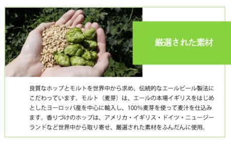 よなよなエール 24本 クラフトビール 軽井沢 ビール ご当地ビール ヤッホーブルーイング お酒 24缶（ケース） 缶ビール まとめ買い 350ml