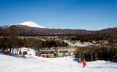 軽井沢プリンスホテルスキー場】リフト1日券×1枚（シーズン期間中有効