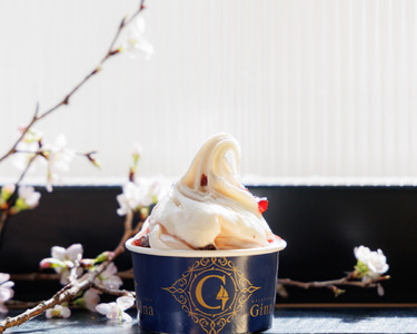 本格イタリアンジェラート　ギフトパック6個入 デザート スイーツ ひんやり 詰め合わせ フルーツソルベット ミルク チェリー ピスタチオ ヘーゼルナッツ チョコ 