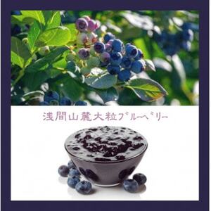 信州のバスクチーズケーキ【浅間山麓大粒ブルーベリー】_菓子・スイーツ ケーキ  _【配送不可地域：離島】【1455515】