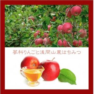 信州のバスクチーズケーキ【蓼科りんごと浅間山麓蜂蜜】_菓子・スイーツ ケーキ _【配送不可地域:離島】【1455516】