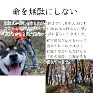 軽井沢鹿工房　愛犬用鹿肉ジャーキー　ももスライス40g×2パック_ ペット用品  _【1466785】
