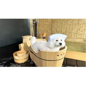 【Solana軽井沢別邸】トレーラーハウスホテル 宿泊券(1泊2日/5名様まで)平日・日曜限定_旅行券・チケット 宿泊券  _【1519127】