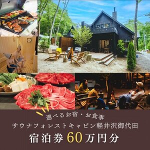 【サウナフォレストキャビン】 宿泊券60万円分　軽井沢御代田町_旅行券・チケット 宿泊商品券 宿泊券 _【1560389】