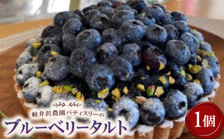 【2026年発送】軽井沢農園パティスリーのブルーベリータルト_菓子・スイーツ ケーキ  _【配送不可地域：離島】【1591160】