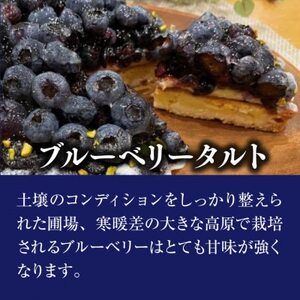 【2026年発送】軽井沢農園パティスリーのブルーベリータルト_菓子・スイーツ ケーキ  _【配送不可地域：離島】【1591160】