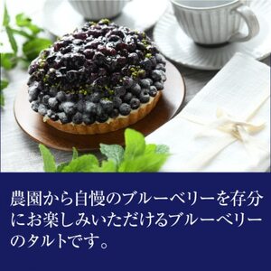 【2026年発送】軽井沢農園パティスリーのブルーベリータルト_菓子・スイーツ ケーキ  _【配送不可地域：離島】【1591160】