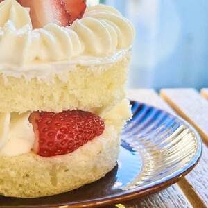 【2026年発送】愛犬用 完熟いちごネイキッドケーキ Mサイズ 1個_ ペット用品  _【配送不可地域：離島】【1591177】