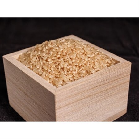 荻原くん家のお米　玄米　5kg　R7年御代田町産　ミネラル肥料使用【1703417】