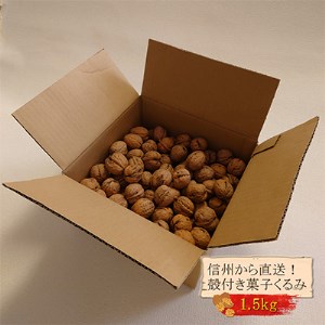 国産 菓子くるみ 殻付 1.5kg 信州 長野県 地元農家から自然の恵みをお届け【1103738】