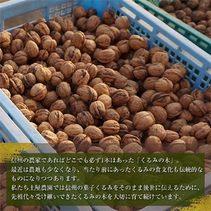国産 菓子くるみ 殻付 1.5kg 信州 長野県 地元農家から自然の恵みをお届け【1103738】