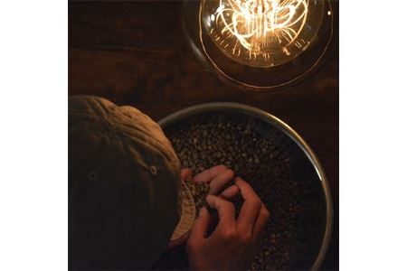 自家焙煎スペシャルティコーヒー浅煎りブレンドとエチオピアイルガチェフェのセット(豆のまま)_コーヒー コーヒー豆 珈琲 ブレンドコーヒー 飲み比べ 人気 美味しい コーヒーセット_【1132646】