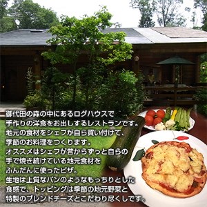 信州のふるさと野菜たっぷりとろける本格手作りチーズピザ大人気老舗レストランの3種食べ比べセット_惣菜・加工品 ピザ  _【配送不可地域：離島】【1324898】