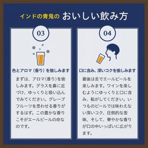 【毎月定期便】インドの青鬼24本(1ケース)全3回_定期便 よなよな クラフトビール ビール お取り寄せ ヤッホーブルーイング お酒 酒 缶ビール IPA 地ビール 人気 美味しい 家飲み 宅飲み ギフト プレゼント 贈り物_【4001617】