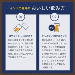 【毎月定期便】インドの青鬼24本(1ケース)全12回_ビール 缶ビール クラフトビール 定期便 酒 長野 インドの青鬼 ケース アルコール ギフト 贈答 お取り寄せ 人気 おすすめ 送料無料_【4001619】