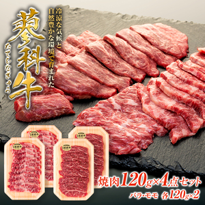 蓼科牛焼肉120g×4パック（バラ・モモ各2パック）