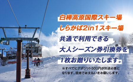 白樺高原国際スキー場・しらかば２in１スキー場大人共通シーズン券