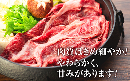 蓼科牛ウデスライス400g×1