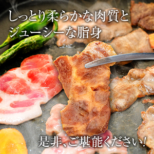 立科高原豚肩ロース焼肉用400g×2