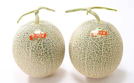 【先行予約】令和8年産 妃メロン 赤肉 大玉 2玉（令和8年7月下旬～8月中旬発送予定） 北海道 n-0189