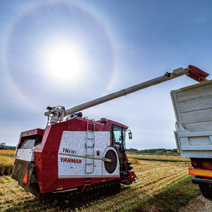 【先行予約】令和7年産 特Aランク米 ゆめぴりか 精米 5kg(5kg×1袋)【6月発送】雪冷気 籾貯蔵 雪中米 北海道 nr-0022