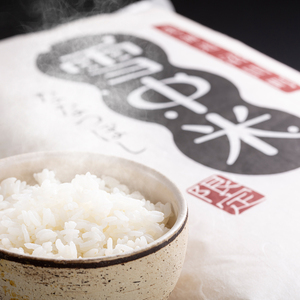 【先行予約】令和7年産 特Aランク米 ななつぼし 精米 5kg（5kg×1袋）雪冷気 籾貯蔵 北海道 雪中米 米米米