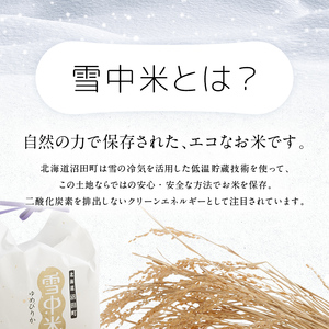 【先行予約】令和7年産  特Aランク米 ななつぼし 無洗米 10kg（5kg×2袋）【6月発送】 雪冷気 籾貯蔵 雪中米 北海道 nr-1362