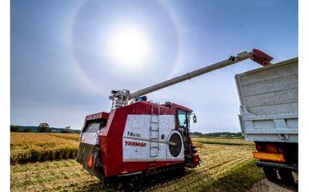 【先行予約】令和7年産  特Aランク米 ななつぼし 無洗米 10kg（5kg×2袋）【7月発送】 雪冷気 籾貯蔵 雪中米 北海道 nr-1363