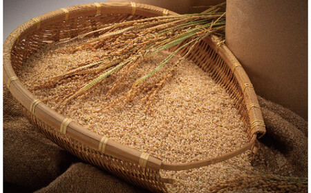 【先行予約】令和7年産 特Aランク米 ななつぼし 玄米 5kg（5kg×1袋）【6月発送】 雪冷気 籾貯蔵 雪中米 北海道 nr-1132