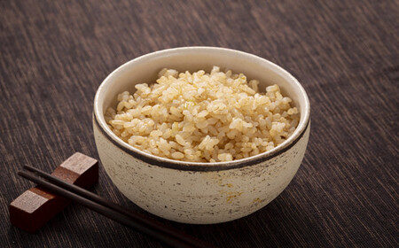 【定期便3ヶ月】ななつぼし 玄米 10kg(5kg×2袋) 5月発送開始 特Aランク米 令和7年産 雪冷気 籾貯蔵 雪中米 北海道 nr-1222