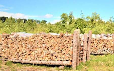 沼田町産 広葉樹ミックス薪 長さ約30cm 10kg キャンプ アウトドア用品 n-0090