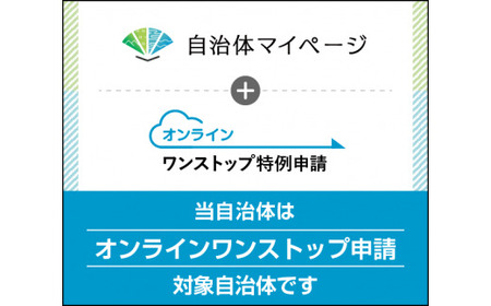 【数量限定】【2026年6月発送開始定期便】令和7年度産 春摺り 雪中米 ゆめぴりか 精米 10kg × 3回 計30kg 3か月連続定期便 定期便 定期 米 nr-1389