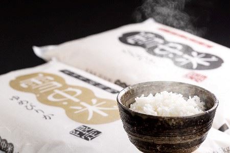 【先行予約】令和6年産 特Aランク米 食べ比べセット 精米 10kg（ゆめぴりか・ななつぼし各5kg）雪冷気 籾貯蔵 北海道 雪中米