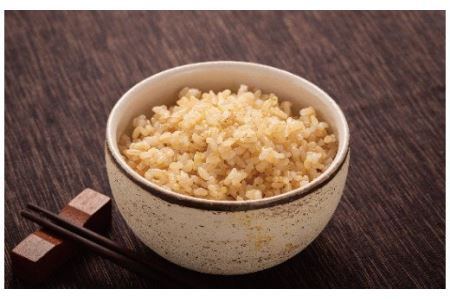 【先行予約】令和6年産 特Aランク米 食べ比べセット 玄米 10kg（ゆめぴりか・ななつぼし各5kg）雪冷気 籾貯蔵 北海道 雪中米