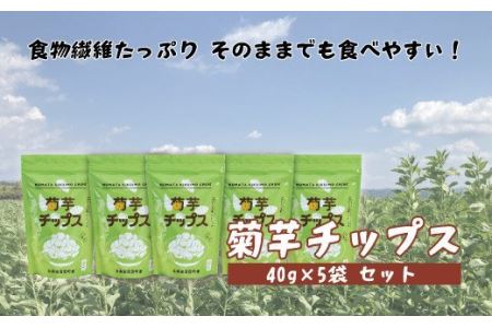 菊芋チップス 5袋入り