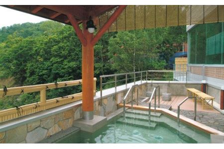 温泉でゆっくり ほろしん温泉ほたる館 宿泊券1泊2食