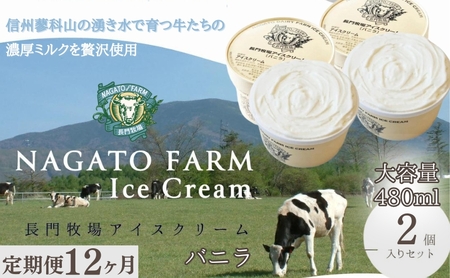 【定期便】12ヵ月連続でお届け!長門牧場アイスクリーム 480ml バニラ2個セット ギフト スイーツ デザート 人気 おすすめ 高評価 お土産 ご当地 ひんやりスイーツ