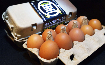 森のめぐみ ふる里の卵 20個入り たまご