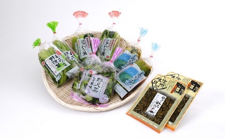 老舗野沢菜専門店の野沢菜漬各種詰め合わせセット10個入 春夏 長野県長和町 ふるさと納税サイト ふるなび