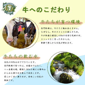 長門牧場 自社製造ナチュラルチーズバラエティセット クリスマススイーツギフト 長野県お歳暮 信州味噌