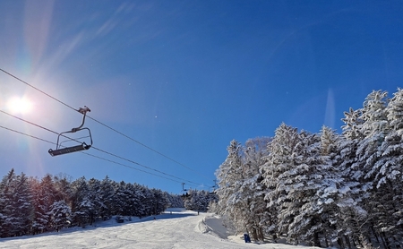 【ふるなびWEEK対象】ブランシュたかやまスキーリゾート　リフト1日優待券　1枚 スキー場 リフト券 雪山 ウインタースポーツ 安心 安全 ファミリー 遊べる 雪遊び わんぱ～く  FN-Limited-PR