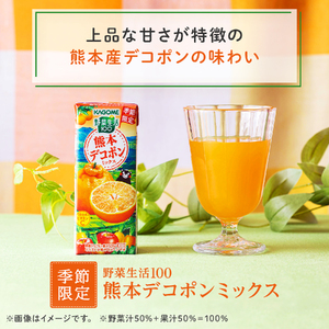 カゴメ 野菜生活100 熊本デコポンミックス 195ml 48本 1日分のビタミンC 砂糖不使用 紙パック ビタミンＣ 健康 飲料 果汁 贈答用 熊本 デコポン 季節限定 期間限定 [12月より順次発送]