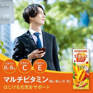 【 定期便 12ヶ月連続お届け 】 カゴメ 野菜生活100 マンゴーサラダ 200ml×48本 ジュース 野菜 果実ミックスジュース 果汁飲料 紙パック 砂糖不使用 1食分の野菜 マルチビタミン ビタミンB2 ビタミンB12 ビタミンC ビタミンE 飲料類 ドリンク 野菜ドリンク 備蓄 長期保存 防災 飲みもの