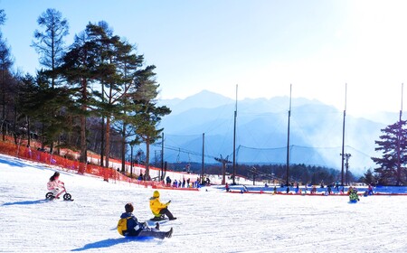 富士見高原リゾート 施設共通利用補助券 １０万円分 | ゴルフ ゴルフ