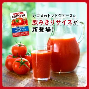 【定期便 2ヶ月】カゴメトマトジュース 食塩無添加 100ml 30本 【 トマトジュース 】