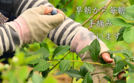 チルチルのジャム 150g×3個セット（赤いルバーブ・ブルーベリー・すぐり） | ジャム